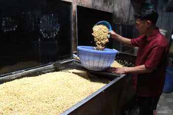 Dampak kenaikan harga kedelai di sentra industri tempe Malang