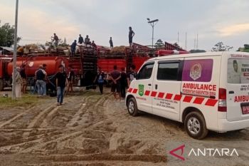 Angkutan ternak sapi di Bima terbatas picu penumpukan di Pelabuhan Gili Mas