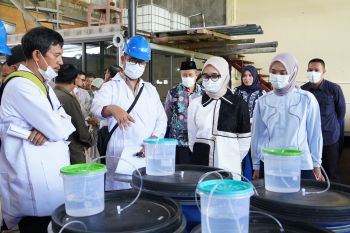 Pemprov Lampung alokasikan Rp10 miliar untuk alat pengering bagi petani