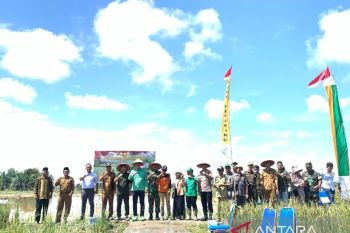 Pemkab Batanghari lakukan tanam padi serentak se-Provinsi Jambi