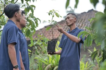Kisah Wastoyo dari pemburu jadi pelestari hutan
