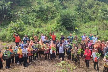 Kemenag Bengkayang tanam pohon Matoa memperingati Hari Bumi