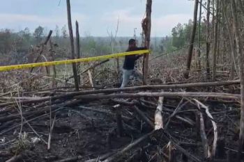 5 hektare lahan di TNTN diduga sengaja dibakar