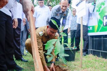 Bupati Kampar resmikan gerakan penanaman satu juta pohon matoa