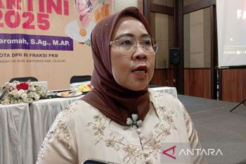 Anggota Komisi VII DPR RI  sebut persoalan UMKM harus diatasi bersama