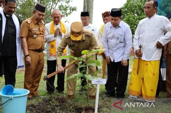 Gubernur Kalsel sukseskan tanam satu juta pohon matoa se-Indonesia