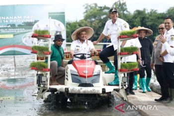 Gubernur Jateng targetkan penanaman padi 250 ribu ha pada April