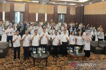 Sahli Gubernur Kalteng: Optimalisasi OSS-RBA dukung pencatatan realisasi investasi secara transparan