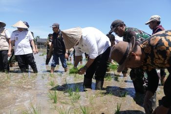 Appi dan tokoh masyarakat Makassar ikut Gerakan Tanam Padi bersama Prabowo