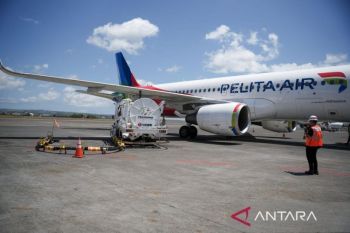 Pertamina catat konsumsi energi di Bali turun saat mudik-balik 2025