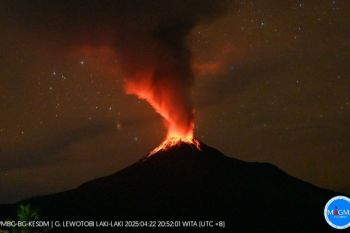 Gunung Lewotobi Laki-laki di Flores Timur alami tremor terus menerus