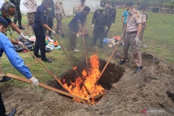 Karantina Sumbar musnahkan 168 kg komoditas ilegal dari luar negeri