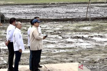 Presiden  uji coba drone untuk tebar benih saat tanam raya di Banyuasin
