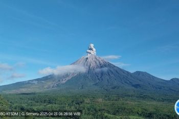 Gunung Semeru erupsi dengan letusan setinggi 900 meter
