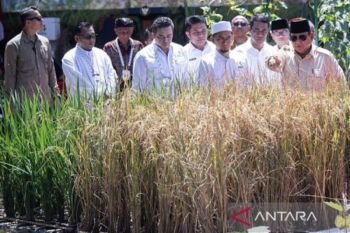 Presiden Prabowo Subianto tekankan target RI jadi lumbung pangan untuk misi kemanusiaan