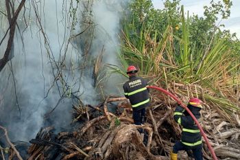 Damkar Padang tangani kebakaran lahan di kawasan Nanggalo