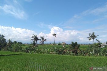 BBMKG minta petani tampung air antisipasi kemarau di Bali