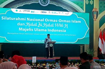 Menag Nasaruddin Umar sebut perlu kolaborasi multipihak cegah haji ilegal