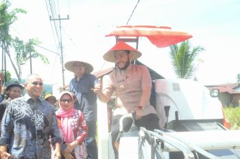 Dukung swasembada pangan, Wako Fadly Amran pimpin panen padi Kelompok Tani di Kota Padang