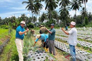Pemkot Payakumbuh akan terus dukung petani