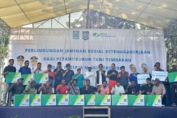 Pemkab Dompu optimalkan perlindungan petani tembakau melalui BPJAMSOSTEK
