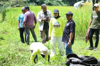 Pemkab Bulukumba tanam pohon sukun di DAS Balantieng