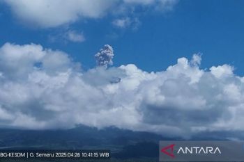 Gunung Semeru alami erupsi enam kali hingga Sabtu siang