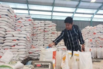 Bulog Sulawesi Tengah gencar serap gabah petani