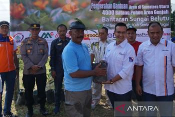 Bank Sumut serahkan 4.000  bibit aren genjah peringati Hari Bumi 2025