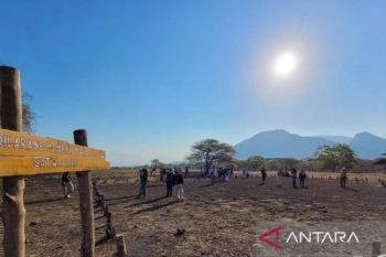 Pemkab Situbondo tak peroleh pendapatan dari pengelolaan TN Baluran