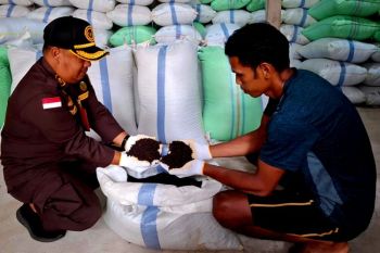 Karantina Kepri sertifikasi 69 ton cengkeh kering tujuan Jakarta
