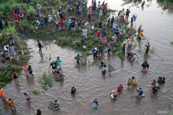 Tradisi pladu Sungai Brantas Tulungagung