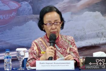Kinerja sektor pajak di NTB terkontraksi 68,41 persen