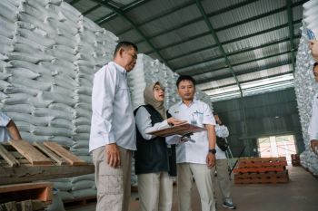 Bulog NTB serap 91.753 ton setara beras dari petani