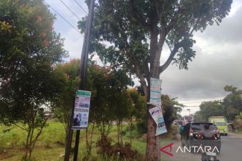 Pemkot Bengkulu musnahkan ribuan spanduk ilegal