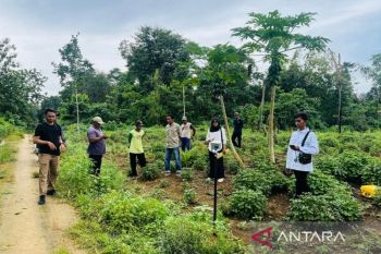 BPN Mubar ingatkan pentingnya tanda batas kepemilikan tanah