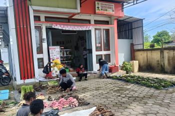 Dinas Ketahanan Pangan Mimika sebut Toko Tani bantu petani OAP