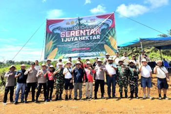 PT Unggul Lestari tanam jagung dukung Program Asta Cita pemerintah untuk swasembada pangan nasional