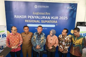 Pemerintah targetkan KUR 2025 sebesar Rp300 Triliun