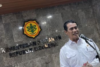 Mentan memprediksi produksi beras nasional April 2025 capai 1 juta ton