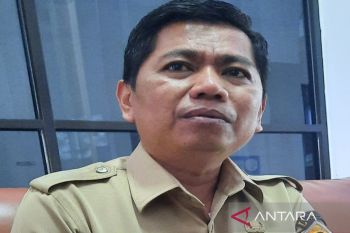 Disbun Sultra sebut harga TBS kelapa sawit  naik jadi Rp2.600/kg