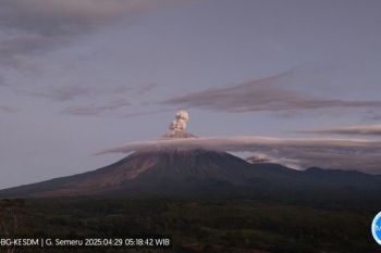 Gunung Semeru erupsi dengan letusan setinggi 900 meter
