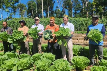 BI NTT mengajak generasi muda kembangkan sektor pertanian di Manggarai