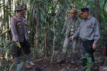 Sigi terapkan jam malam cegah aktivitas tambang ilegal