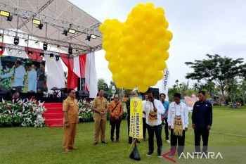 Pemkab: UMKM bangkitkan kemandirian ekonomi masyarakat Keerom