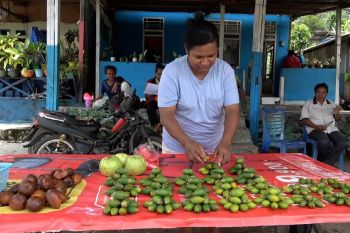 Pemprov harap dana Otsus Papua tahap pertama segera cair