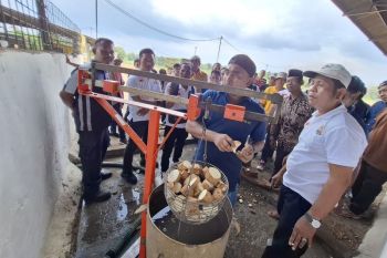 DPRD Lampung sebut rumusan harga singkong nasional telah dirancang
