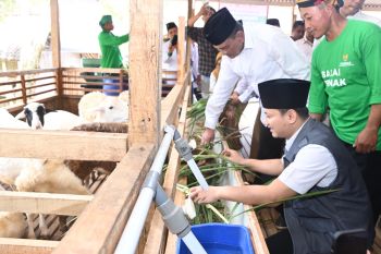 BAZNAS resmikan Balai Ternak Barokah Farm di Trenggalek