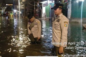 Banjir rob hantam dua RT di Pluit Penjaringan Jakut