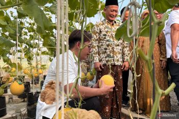 Bupati Lamsel ikut panen melon di Ponpes Istiqomah Al-Amin